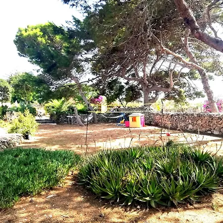 La Pinetina Di Tatil Evi