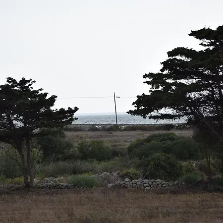La Pinetina Di
