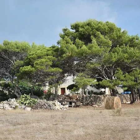 La Pinetina Di Tatil Evi *